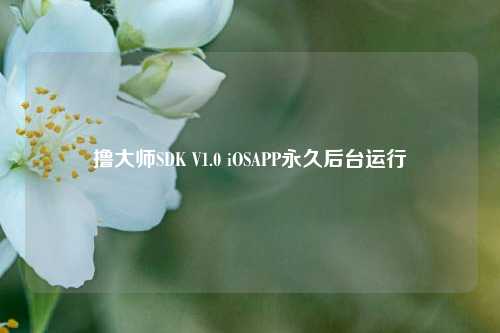撸大师SDK V1.0 iOSAPP永久后台运行