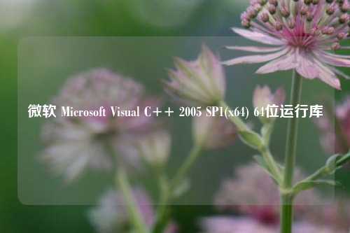 微软 Microsoft Visual C++ 2005 SP1(x64) 64位运行库
