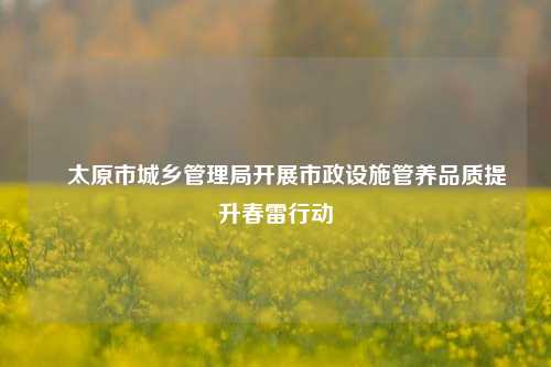 ​太原市城乡管理局开展市政设施管养品质提升春雷行动