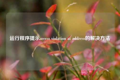 运行程序提示access violation at address的解决方法