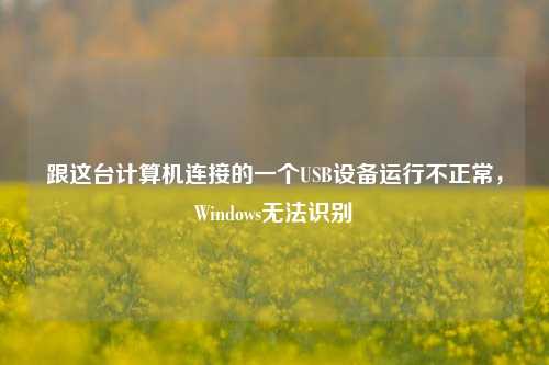 跟这台计算机连接的一个USB设备运行不正常，Windows无法识别