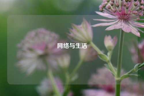 网络与生活