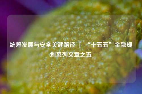 统筹发展与安全关键路径 ｜ “十五五”金融规划系列文章之五