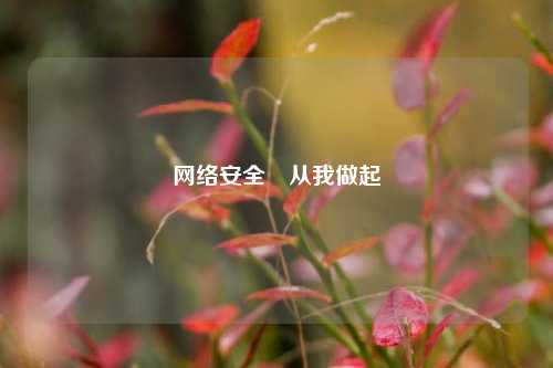 网络安全　从我做起