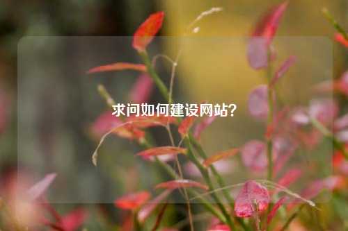 求问如何建设网站？