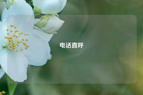 电话直呼