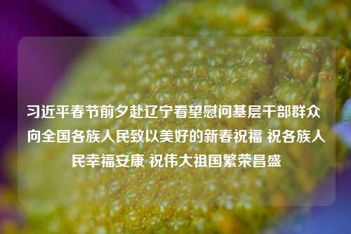习近平春节前夕赴辽宁看望慰问基层干部群众 向全国各族人民致以美好的新春祝福 祝各族人民幸福安康 祝伟大祖国繁荣昌盛