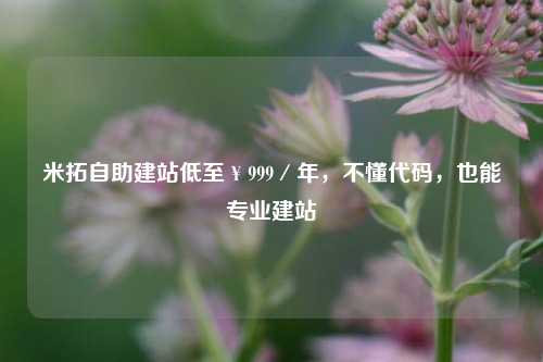 米拓自助建站低至￥999／年，不懂代码，也能专业建站
