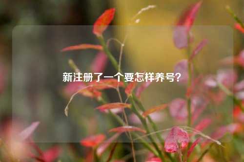 新注册了一个要怎样养号？