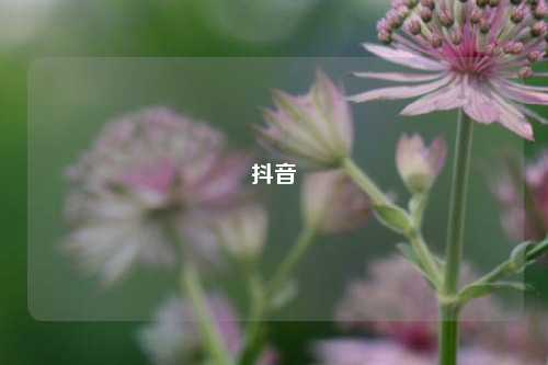 抖音