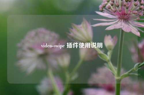 video-swipe 插件使用说明