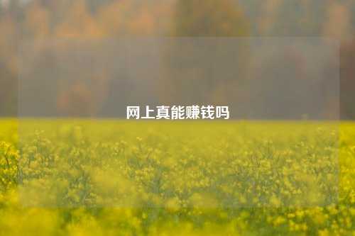 网上真能赚钱吗