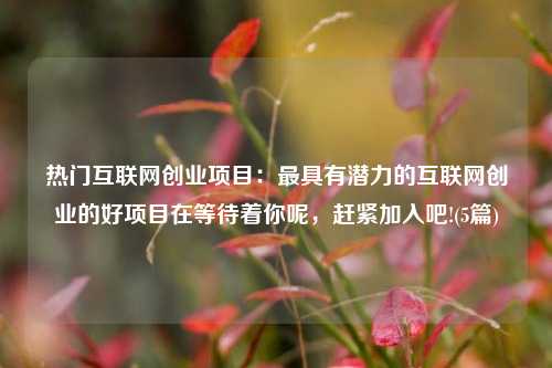 热门互联网创业项目：最具有潜力的互联网创业的好项目在等待着你呢，赶紧加入吧!(5篇)
