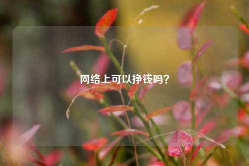 网络上可以挣钱吗？