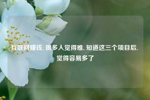 互联网赚钱, 很多人觉得难, 知道这三个项目后, 觉得容易多了