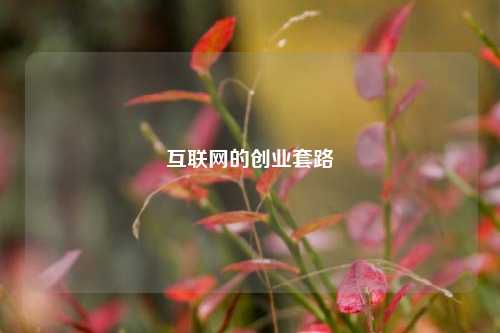 互联网的创业套路