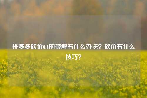 拼多多砍价0.1的破解有什么办法？砍价有什么技巧？