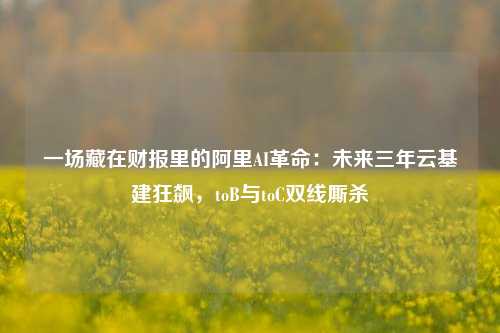 一场藏在财报里的阿里AI革命：未来三年云基建狂飙，toB与toC双线厮杀