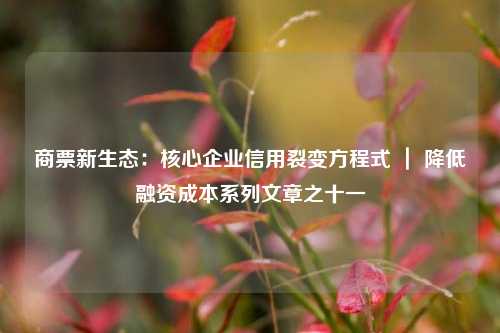 商票新生态：核心企业信用裂变方程式 ｜ 降低融资成本系列文章之十一