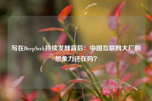 写在DeepSeek持续发酵背后：中国互联网大厂的想象力还在吗？