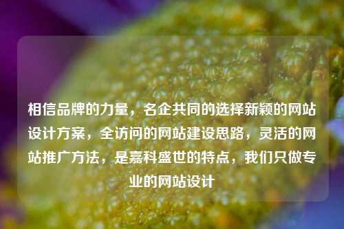 相信品牌的力量，名企共同的选择新颖的网站设计方案，全访问的网站建设思路，灵活的网站推广方法，是嘉科盛世的特点，我们只做专业的网站设计