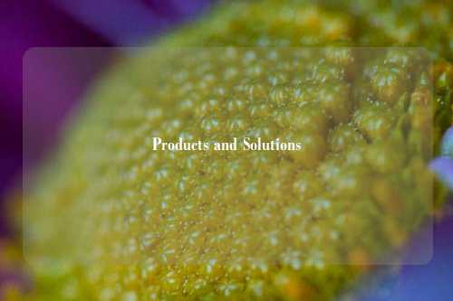 Products and Solutions