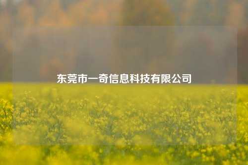 东莞市一奇信息科技有限公司