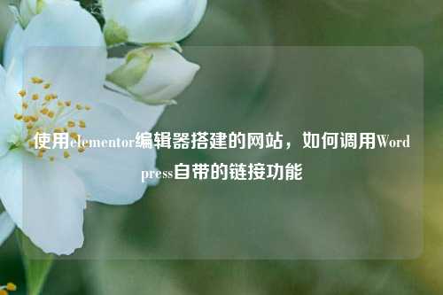 使用elementor编辑器搭建的网站，如何调用Wordpress自带的链接功能