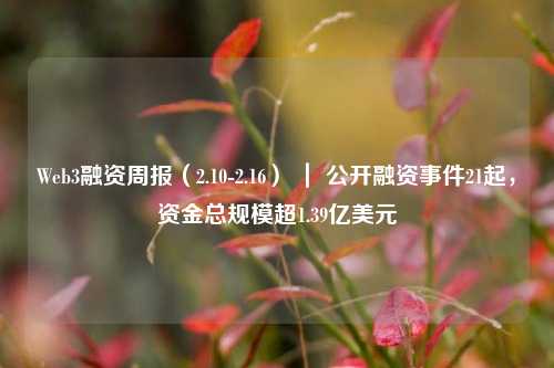 Web3融资周报（2.10-2.16） ｜ 公开融资事件21起，资金总规模超1.39亿美元