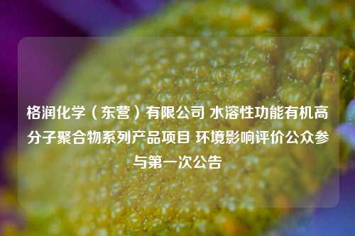 格润化学（东营）有限公司 水溶性功能有机高分子聚合物系列产品项目 环境影响评价公众参与第一次公告