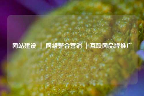 网站建设 ｜ 网络整合营销 ｜互联网品牌推广