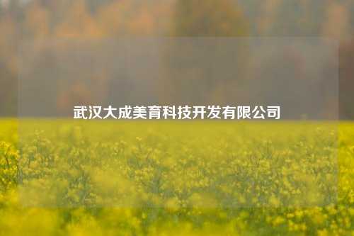 武汉大成美育科技开发有限公司
