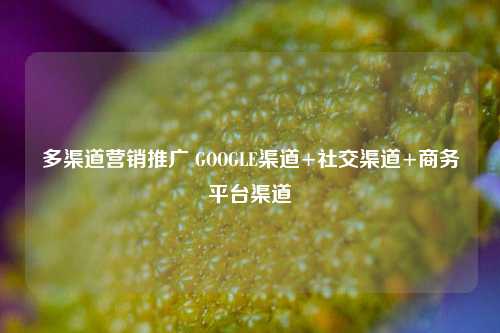 多渠道营销推广 GOOGLE渠道+社交渠道+商务平台渠道