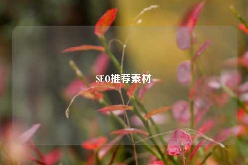 SEO推荐素材