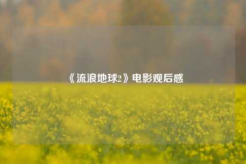 《流浪地球2》电影观后感
