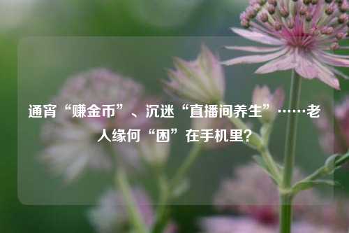 通宵“赚金币”、沉迷“直播间养生”……老人缘何“困”在手机里？