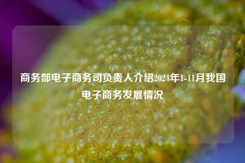 商务部电子商务司负责人介绍2024年1-11月我国电子商务发展情况