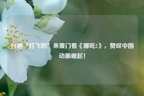 台胞“打飞的”来厦门看《哪吒2》，赞叹中国动画崛起！