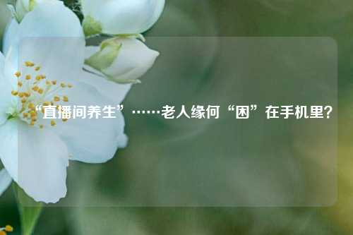 “直播间养生”……老人缘何“困”在手机里？