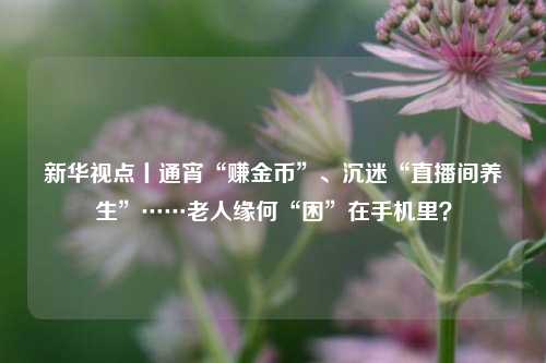 新华视点丨通宵“赚金币”、沉迷“直播间养生”……老人缘何“困”在手机里？