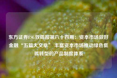 东方证券ESG双周报第六十四期：资本市场做好金融“五篇大文章” 丰富资本市场推动绿色低碳转型的产品制度体系