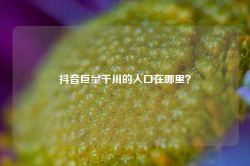 抖音巨量千川的入口在哪里？