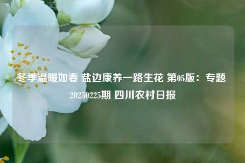 冬季温暖如春 盐边康养一路生花 第05版：专题 20250225期 四川农村日报
