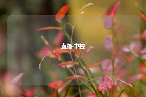 直播中控