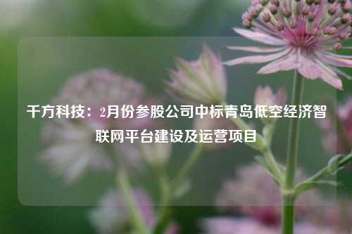 千方科技：2月份参股公司中标青岛低空经济智联网平台建设及运营项目