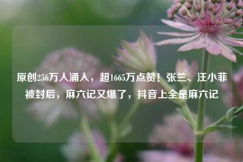 原创256万人涌入，超1665万点赞！张兰、汪小菲被封后，麻六记又爆了，抖音上全是麻六记