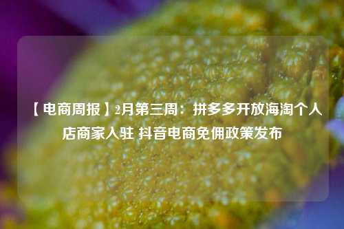 【电商周报】2月第三周：拼多多开放海淘个人店商家入驻 抖音电商免佣政策发布