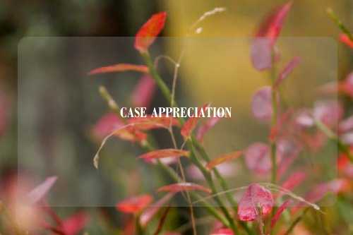 CASE APPRECIATION