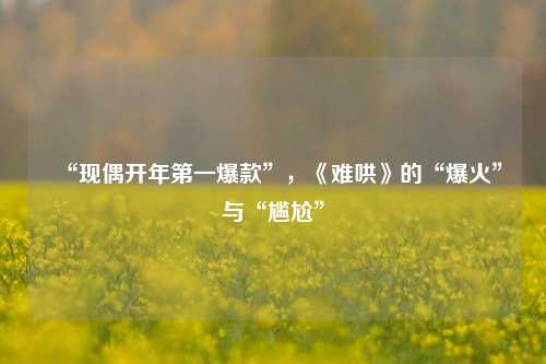 “现偶开年第一爆款”，《难哄》的“爆火”与“尴尬”