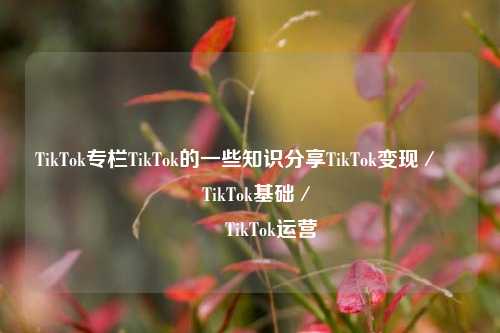 TikTok专栏TikTok的一些知识分享TikTok变现／                                TikTok基础／                                TikTok运营